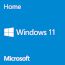Microsoft Windows 11 Home 64-bit English DSP
