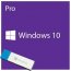 Microsoft Windows 10 Pro 32-bit/64-bit English USB Flash
