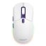Turbo-X Erebus Gaming Mouse EM20 Wireless White